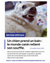 Édition_spéciale.png