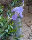 Ménage_de_printemps.png